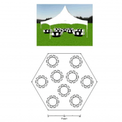 40' HEXAGON PREMIUM HIGH PEAK WHITE TENT